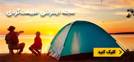 صفحه اصلی