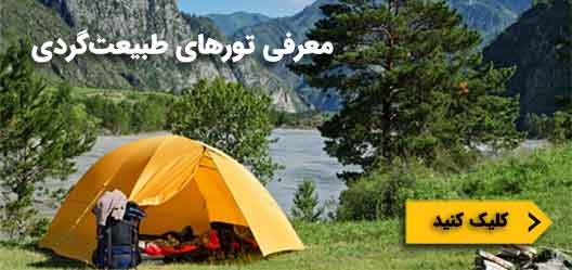 صفحه اصلی